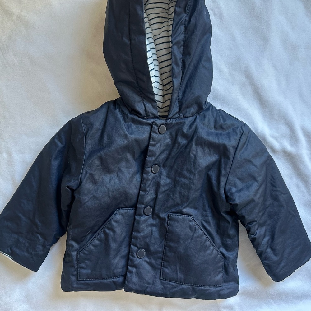 Coconut Navy Hooded Puffer Coat